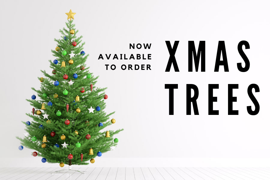 Pre-order Christmas trees from Oxford Garden Centre advert
